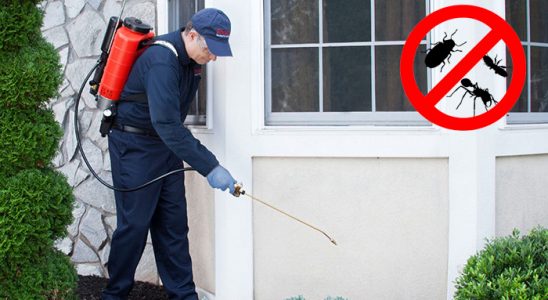 Gülyalı Hamam Böceği İlaçlama böcek ilaçlama ve haşere kontrolü — ilaclama-tr.com